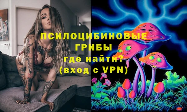 ПСИЛОЦИБИНОВЫЕ ГРИБЫ Красноперекопск