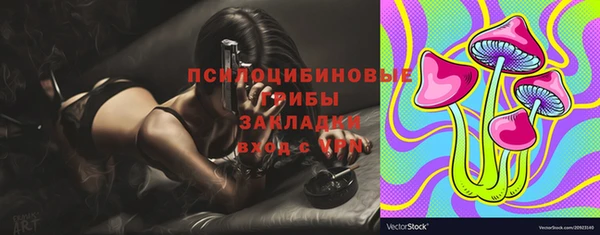 ПСИЛОЦИБИНОВЫЕ ГРИБЫ Красноперекопск