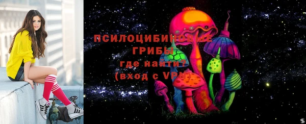 ПСИЛОЦИБИНОВЫЕ ГРИБЫ Красноперекопск
